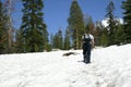 Snow Hiker - Sentinel Dome Royalty Free Stock Photo