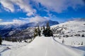 Snow hill in the Rockies Snow buried trees with snow covered peaks in the background Banff National Park Alberta