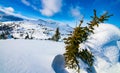 Snow hugger Rockie mountains