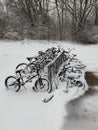 Snow and ice covered bicycles and trees