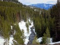 Snow and Ice Covered River and Tree Line Royalty Free Stock Photo