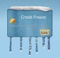 Snow and ice on a credit card illustrate the theme of putting a freeze on your credit report.