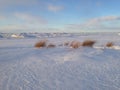 Snow and Ice Dunes on Shore of Lake Erie at Sunset, Presque Isle State park Royalty Free Stock Photo