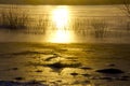 Snow and ice in the sunrise at the lake shore Royalty Free Stock Photo