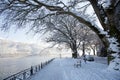 snow ice winter season trees road in Ioannina city Greece Royalty Free Stock Photo