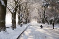 snow ice winter season trees road in Ioannina city Greece Royalty Free Stock Photo