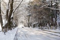 snow ice winter season trees road in Ioannina city Greece Royalty Free Stock Photo