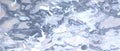 Snow, ice winter vector texture. Realistic marbling effect Royalty Free Stock Photo