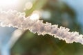 Snow icicle detail macro bokeh background