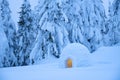 Snow igloo in the winter mountain forest Royalty Free Stock Photo