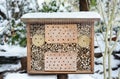 Snow at insect hotel with wild bees and wesps Royalty Free Stock Photo
