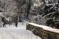 Snow in istanbul. Winter landscape from macka democracy and public park in winter season.