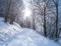 Snow in the italian Alps. Beautiful view of idyllic village in snowy forest and snowcapped mountain peaks. Piedmont, Italy Royalty Free Stock Photo