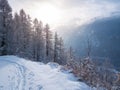 Snow in the italian Alps. Beautiful view of idyllic village in snowy forest and snowcapped mountain peaks. Piedmont, Italy Royalty Free Stock Photo