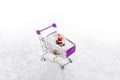 Snow on iÃÂ§inde Christmas water globe with Santa Claus shopping cart, on white background. Royalty Free Stock Photo