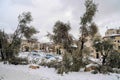 Snow in Jerusalem Royalty Free Stock Photo