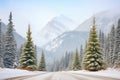 snow-laden fir trees flanking mountain road