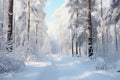 Snow-laden forest pathway inviting a tranquil winter walk, AI Generated