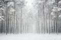 Snow-laden forest pathway inviting a tranquil winter walk AI Generated