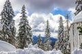 Snow Laden Trees With Mountains In Background