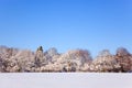 Snow landscape