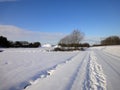 Snow landscape with blue sky