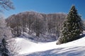 Snow landscape Royalty Free Stock Photo