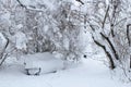 Snow landscape in City Park