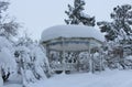 Snow landscape in City Park