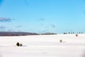 snow landscape in the Harz mountains with blue sky and trees and wind generator Royalty Free Stock Photo