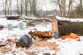 Snow landscape with tree trunks and work gear