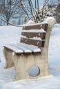 Snow landscaping view