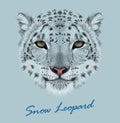 Snow leopard animal cute face. Vector Asian Irbis head portrait. Realistic fur portrait of snow wild spotted panther