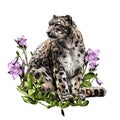 Snow leopard animal sitting at full height and looking sideways composition decorated with bell flowers and leaves