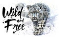 Snow leopard Wild and Free watercolor painting, animals predator, design of t-shirt, print, winter, king of mountains, wild ca