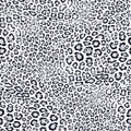 Snow leopard pattern. Vector seamless texture. Animal skin print, jaguar, ounce