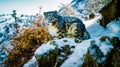 Snow leopard sitting on top of snow covered rock covered in snow. Generative AI Royalty Free Stock Photo