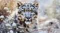snow leopard in the snow . Royalty Free Stock Photo