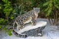 A Snow Leopard statue made from Lego bricks