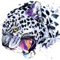 Snow leopard T-shirt graphics, snow leopard illustration with splash watercolor textured background.