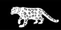 Snow leopard vector illustration isolated on black background. Royalty Free Stock Photo