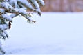 Snow on thegreen branches, Christmas mood