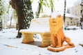 Snow on the lion sculpture in the park. Winter background, selective focus