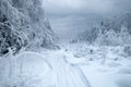 Snow logging road in Siberian snow-covered and frosty forest Royalty Free Stock Photo