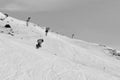 Global clima change: Artificial snow for skiing at Jakobshorn, Davos, swiss alps Royalty Free Stock Photo