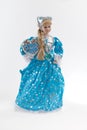 The Snow Maiden Royalty Free Stock Photo