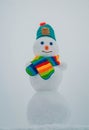 Snow man. Happy smiling snowman on sunny winter day. Winter clothes, knitted hat and scarf.