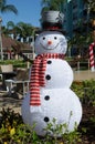 SNOW MAN WITH TOP HAT CHRISTMAN CELEBRATION Royalty Free Stock Photo