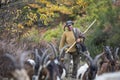 The shepherd with his goats, at Mafomedes village, Baiao Royalty Free Stock Photo