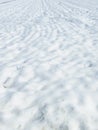 Snow meadow Royalty Free Stock Photo